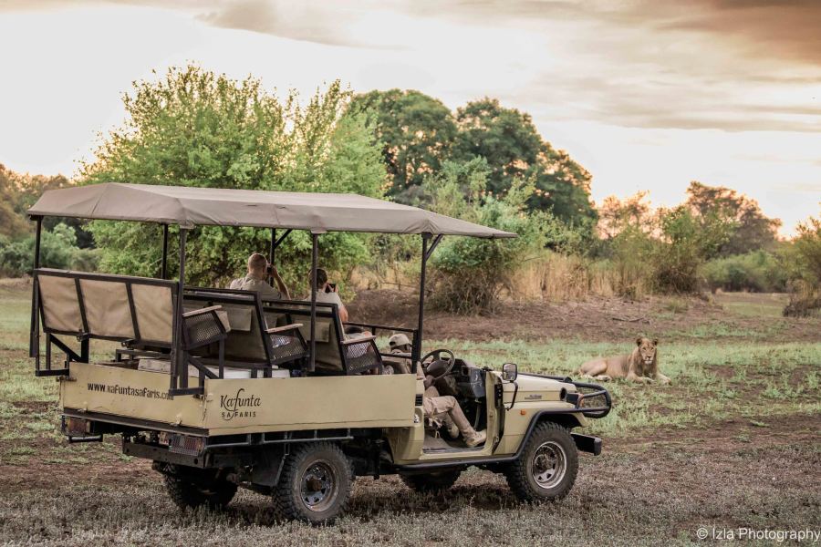 6-Day South Luangwa Fly-in Safari Adventure