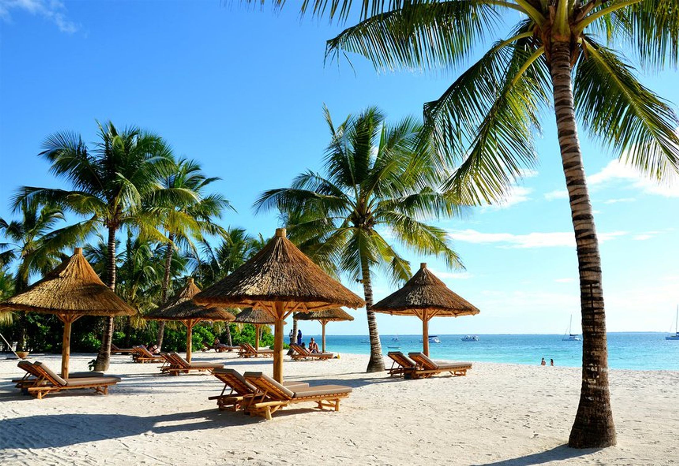 Things To Do Under The African Sun