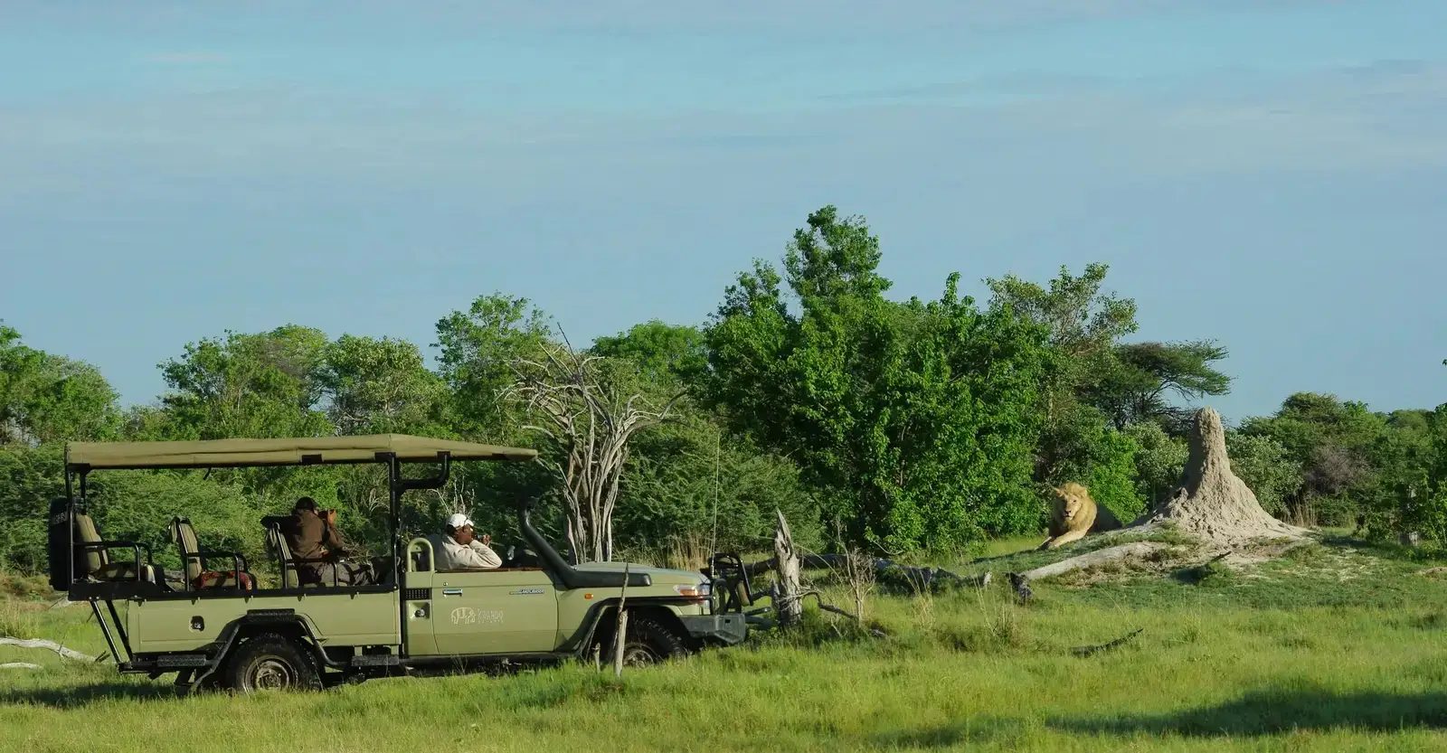 Splash Camp in the Kwara Private Concession is a predator hotspot