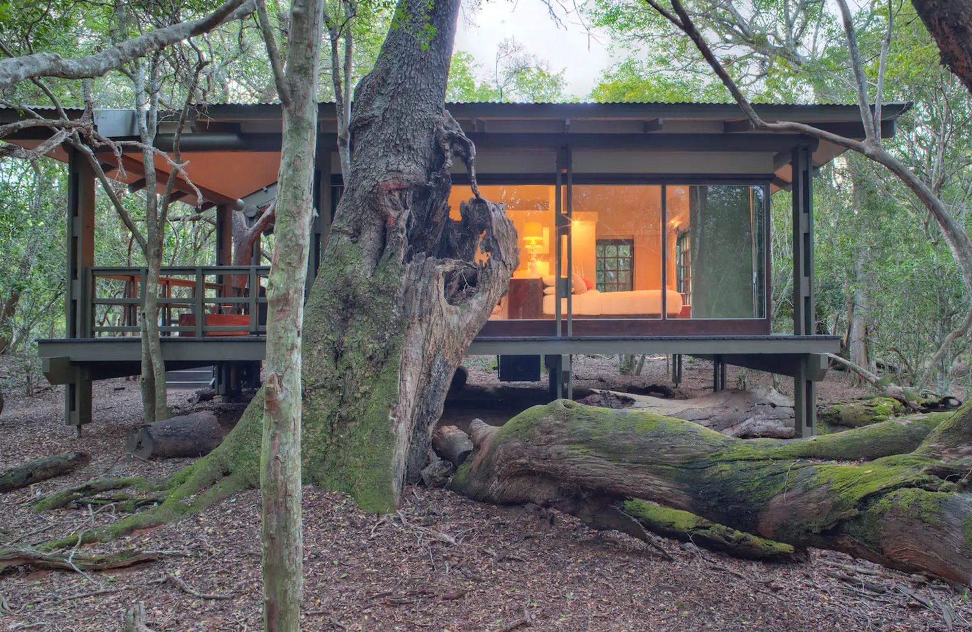 Forest Lodge