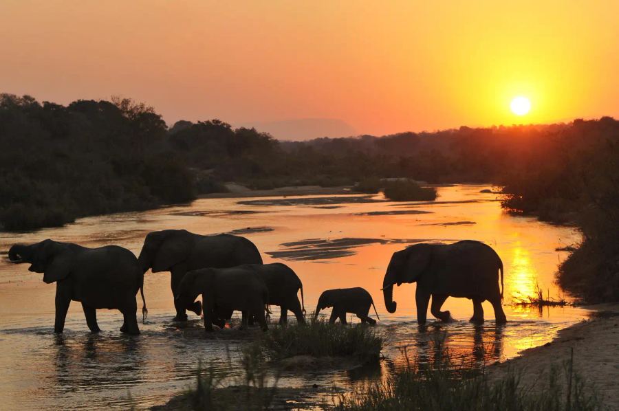 4 Day Lush Sabi Sand River Safari