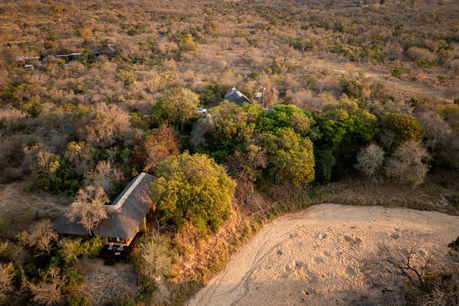 5-Day Thornybush Fly-In Package
