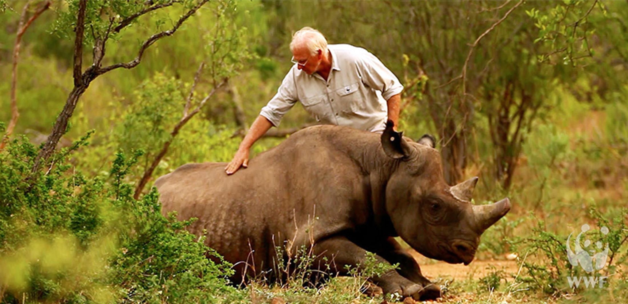 Conservation: How to Show Africa Love This Valentines Day