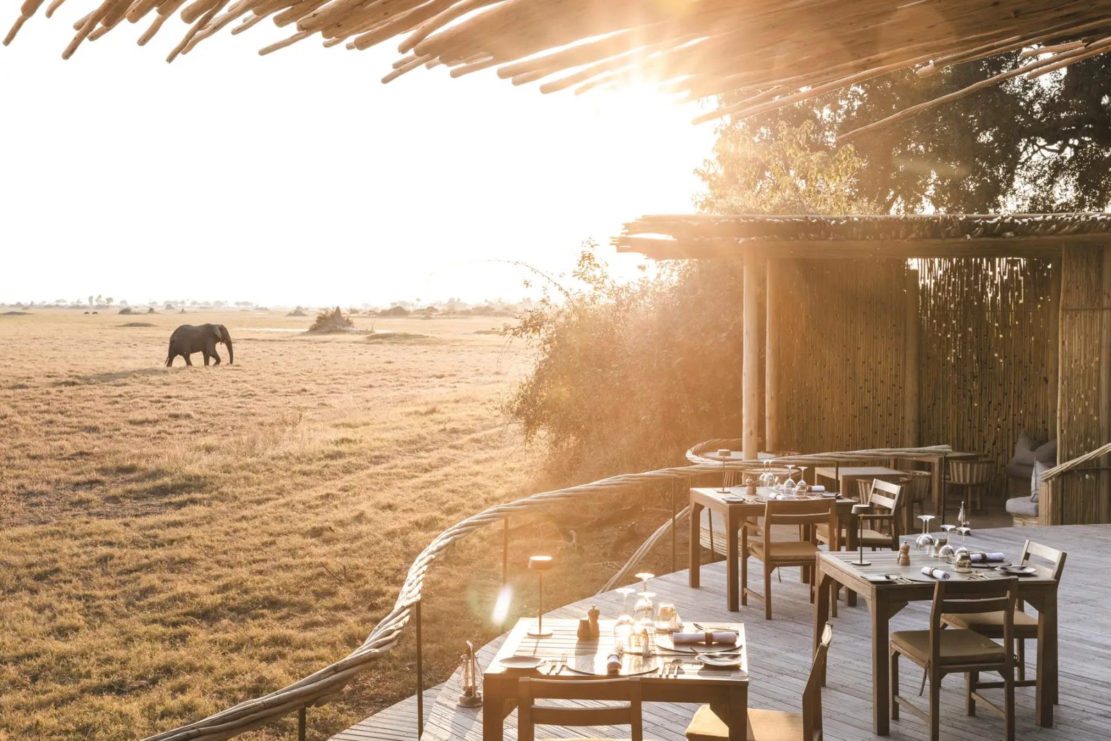 At Wilderness Mombo, even breakfast comes with an elephant sighting.