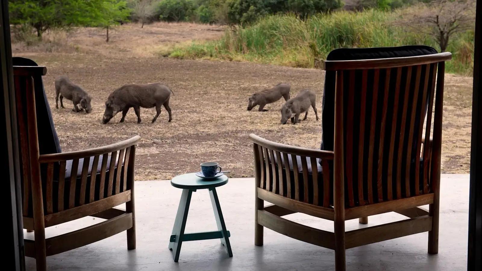 AndBeyond Phinda Zuka Lodge