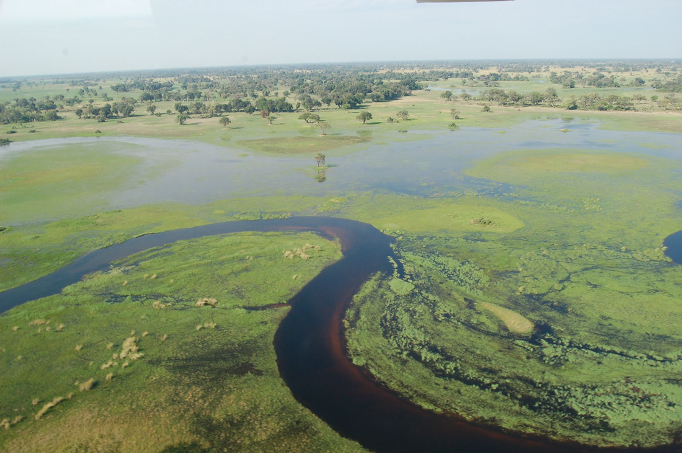 Botswana Phrase Guide: The importance of language