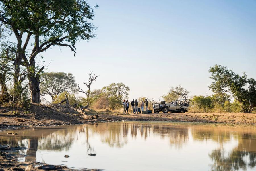 6-Day Bush & Beach Safari