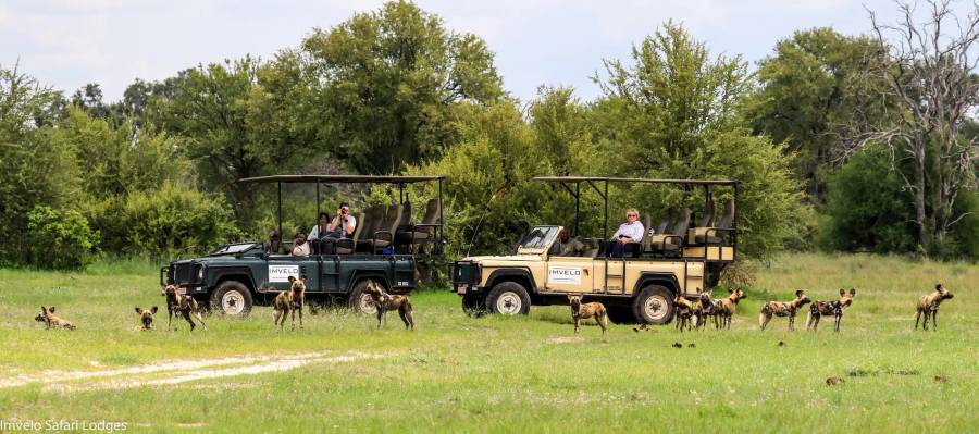 Bomani Tented Camp