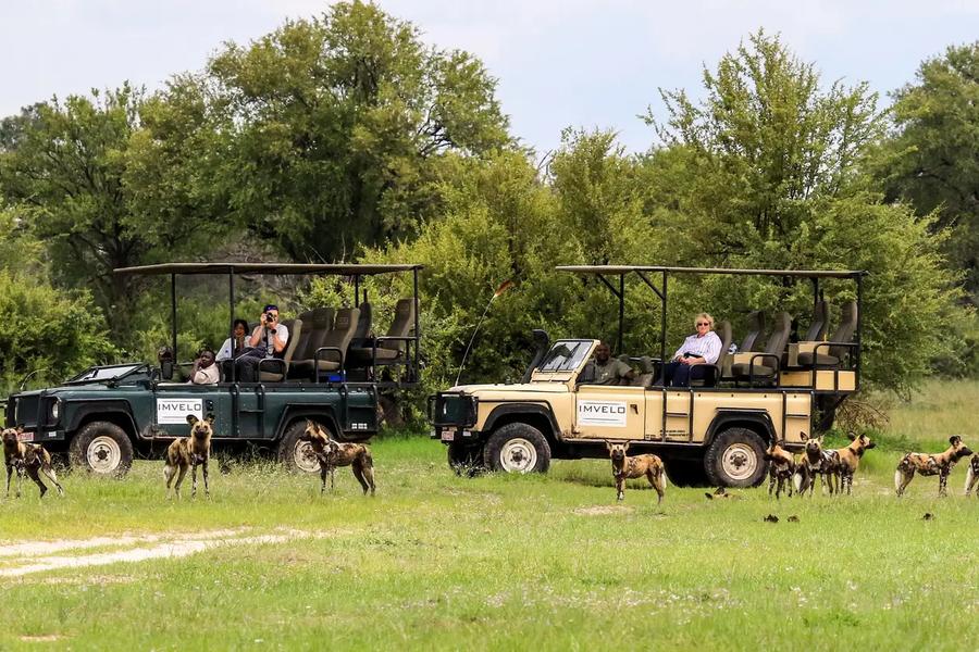 Bomani Tented Camp