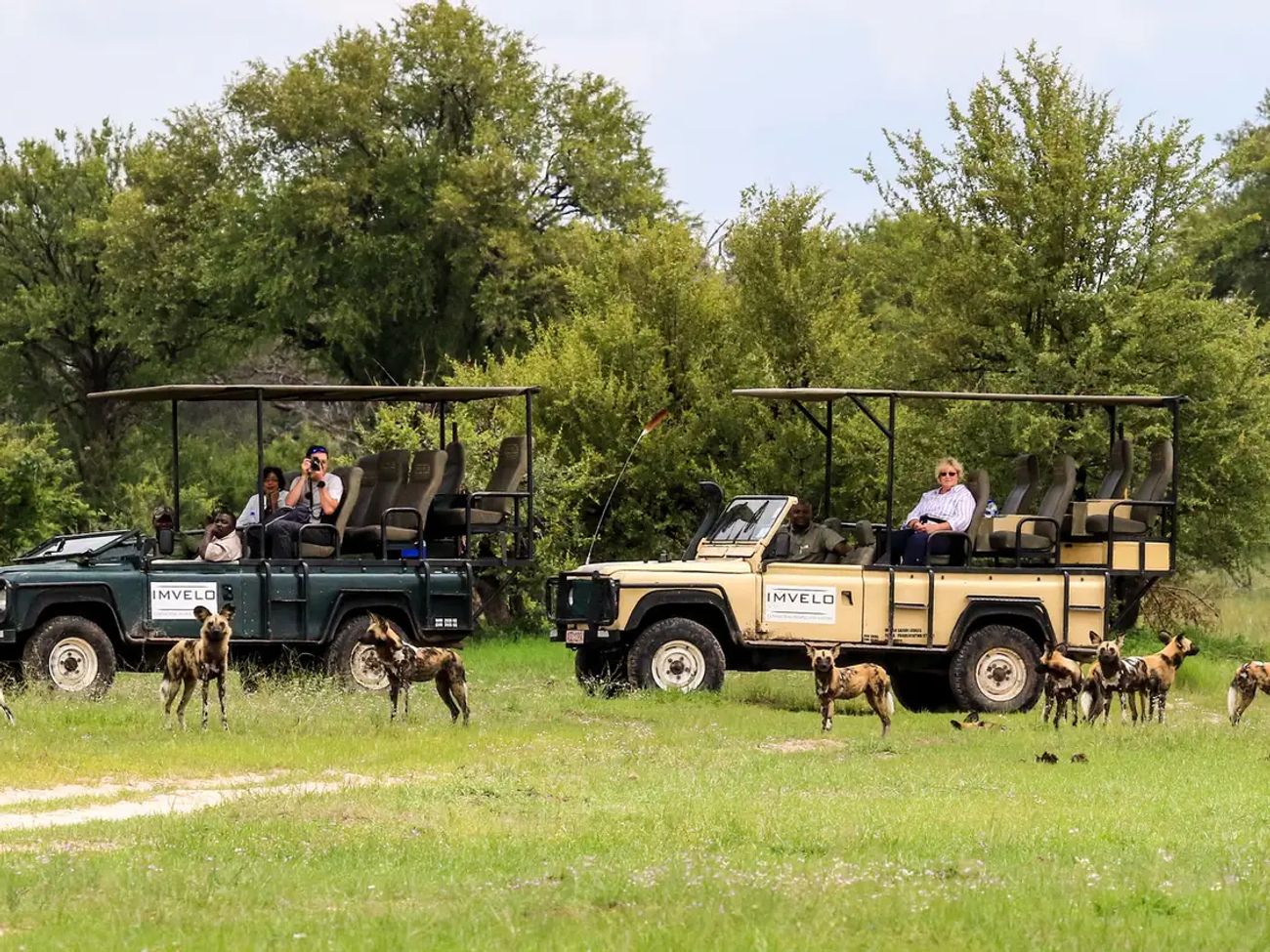 Bomani Tented Camp