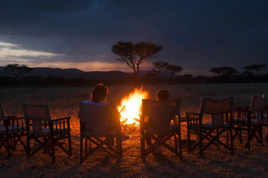 10 Day Bush and Beach Safari
