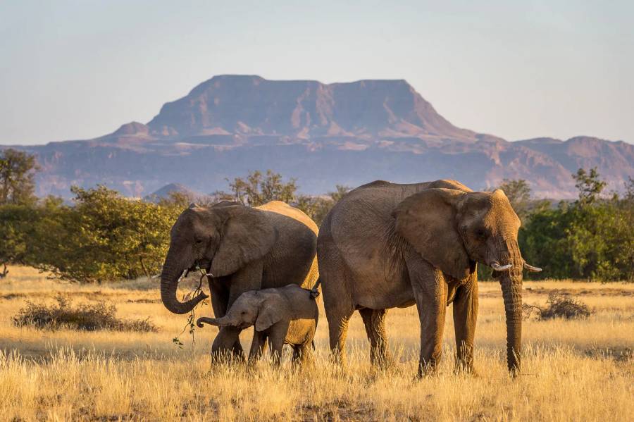 Damaraland