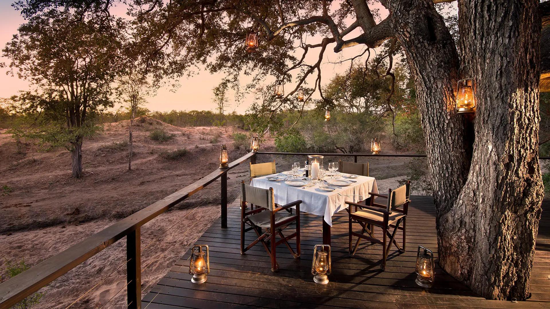 3-Day Fly-In All-Inclusive &Beyond Ngala Safari Lodge