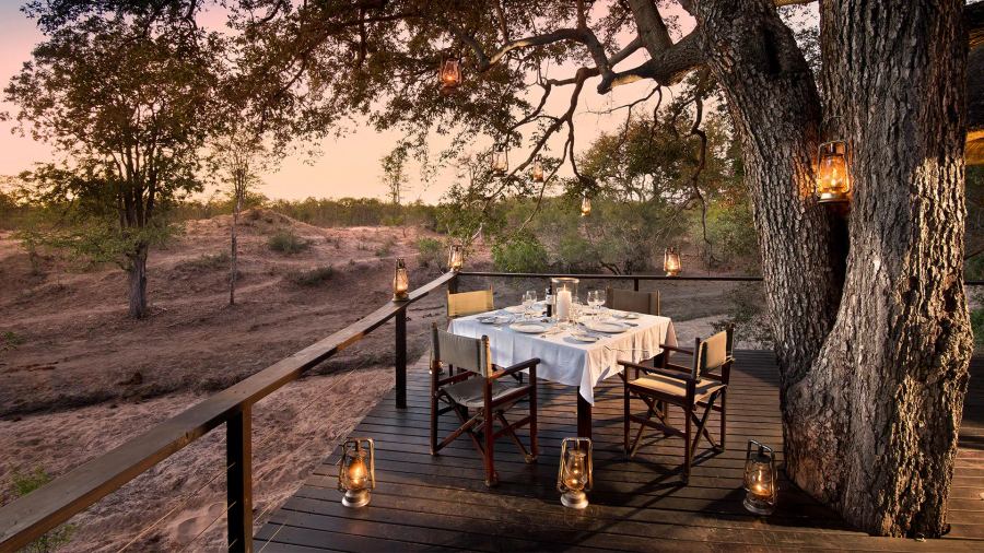 3-Day Fly-In All-Inclusive &Beyond Ngala Safari Lodge