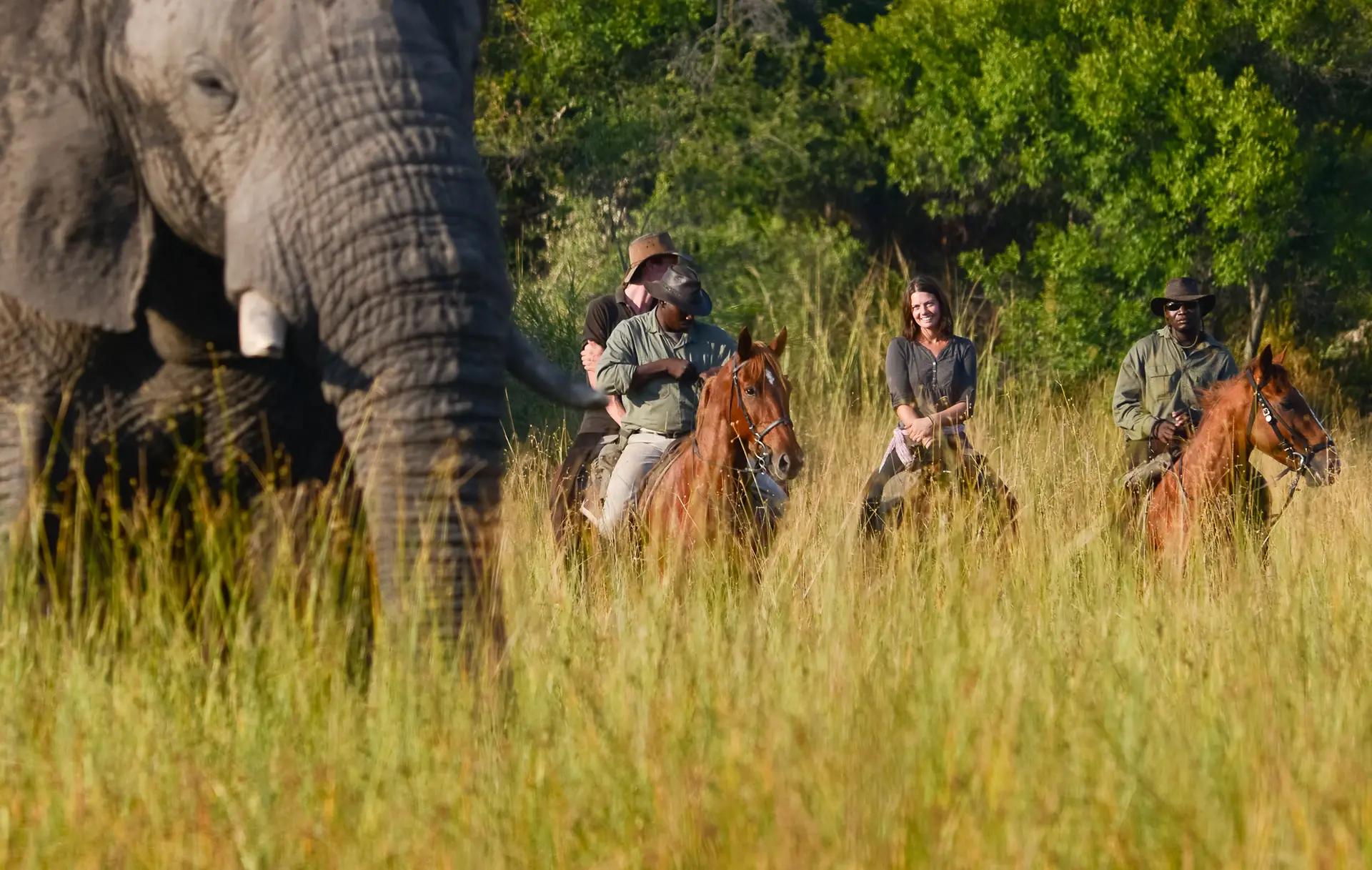 4-Day All Inclusive Okavango Delta Horseback Safari