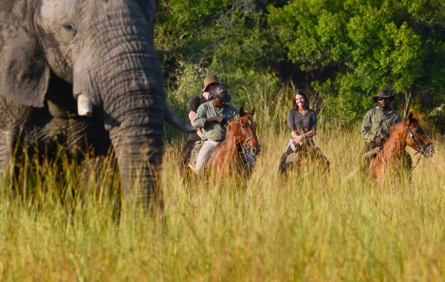 4-Day All Inclusive Okavango Delta Horseback Safari