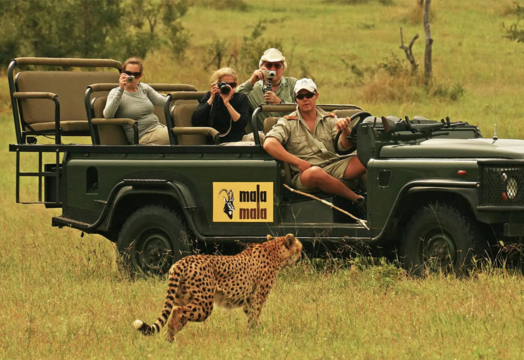 Mala Mala Game Reserve