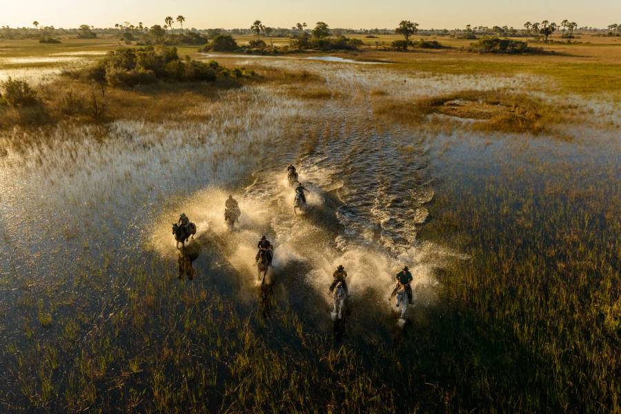 4-Day All Inclusive Okavango Delta Horseback Safari