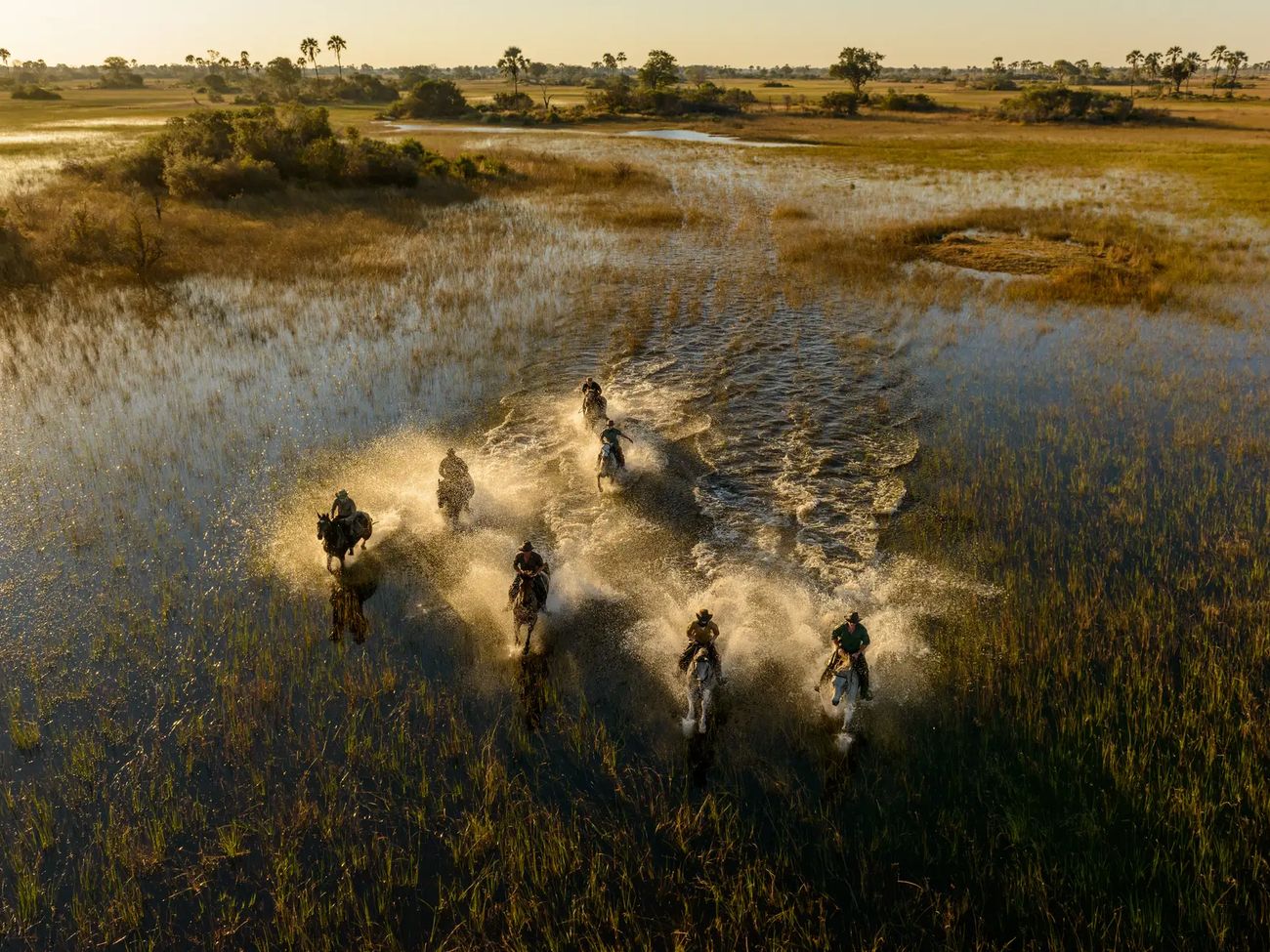 4-Day All Inclusive Okavango Delta Horseback Safari