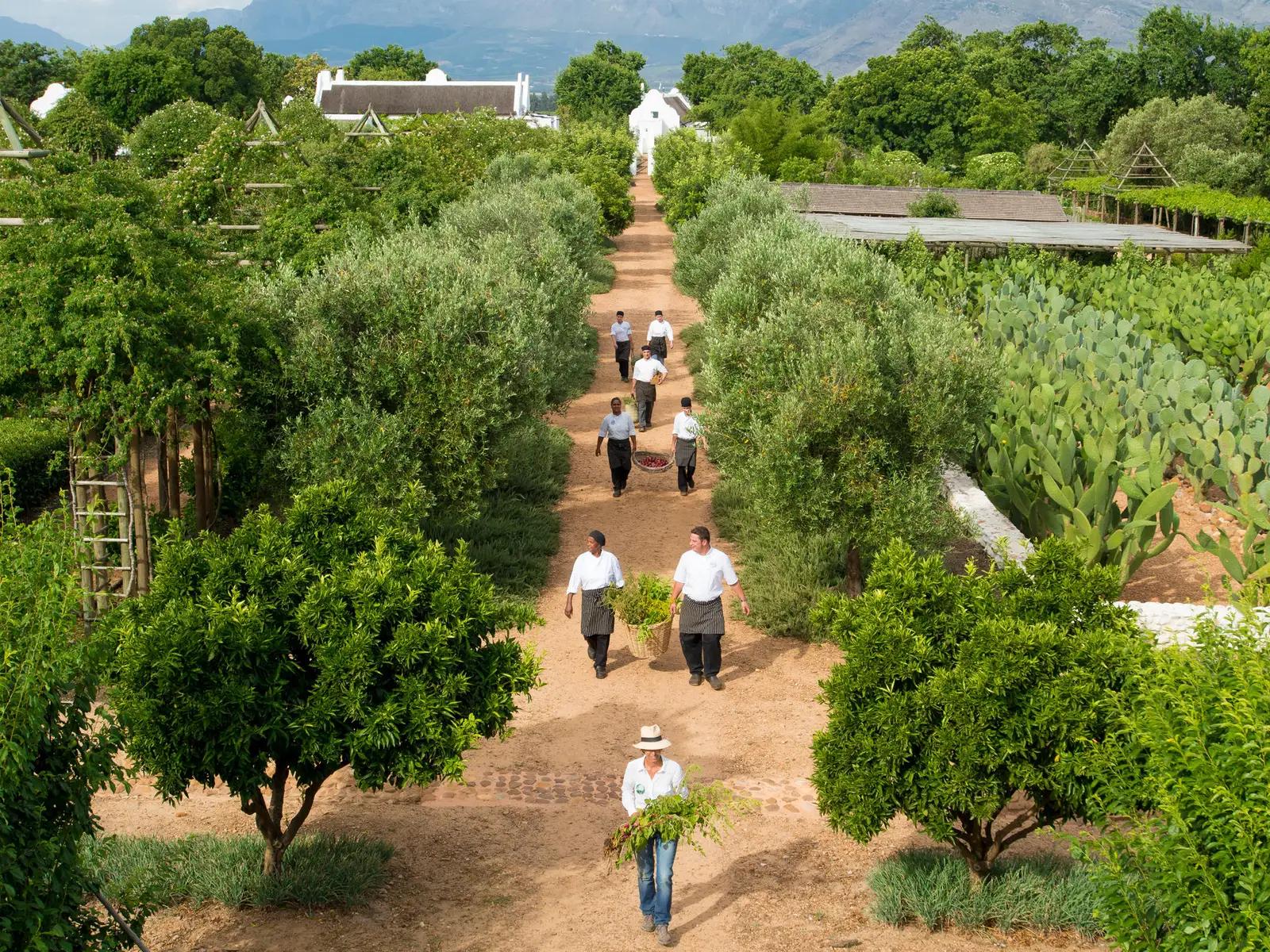 9 Day Cape Town, Wine and Wild Sabi Sands Safari 