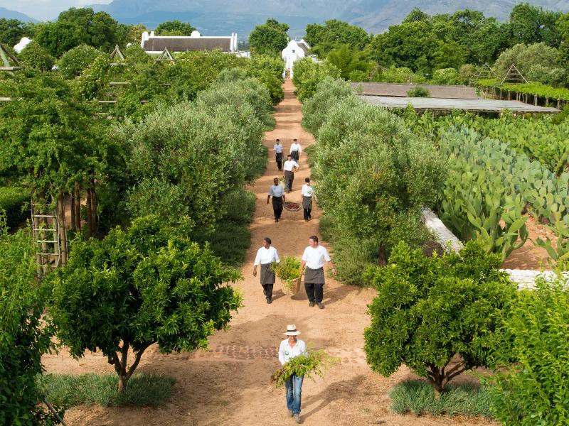 9 Day Cape Town, Wine and Wild Sabi Sands Safari 