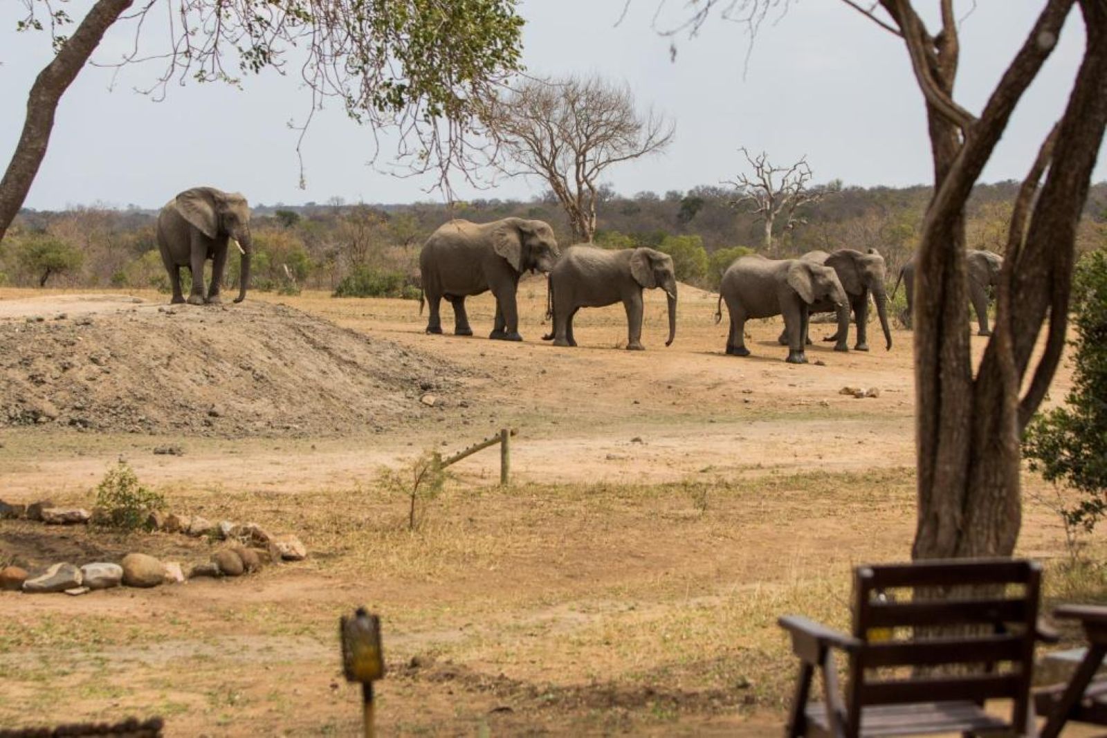 Tangala Safari Lodge