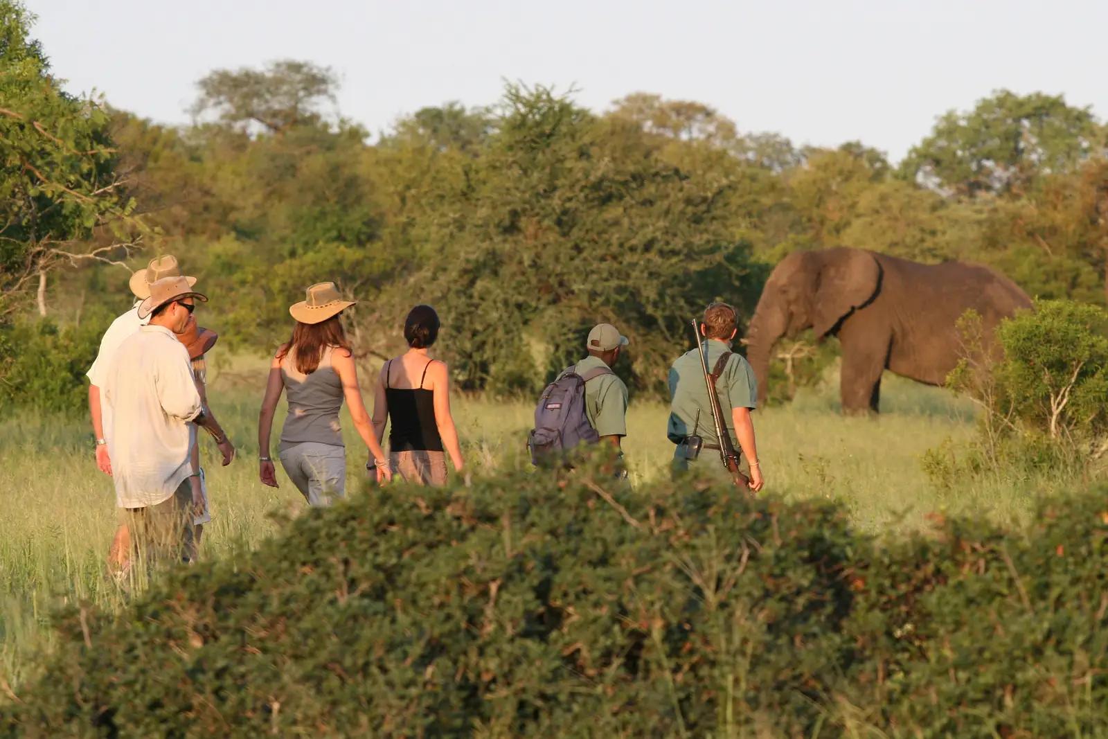 5 Day Kruger Walking Safari Trail