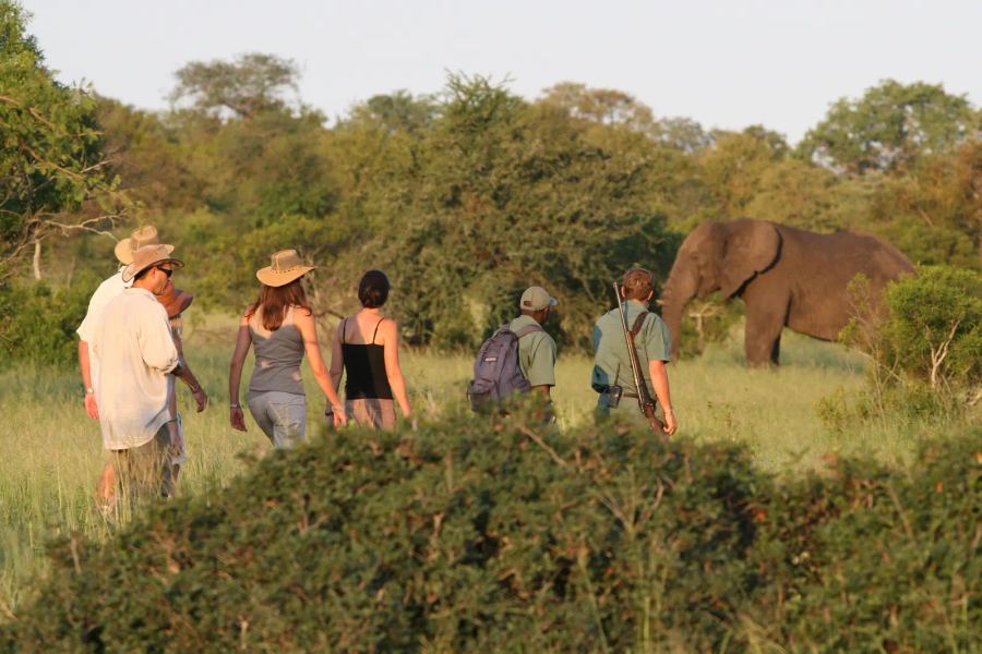 5 Day Kruger Walking Safari Trail