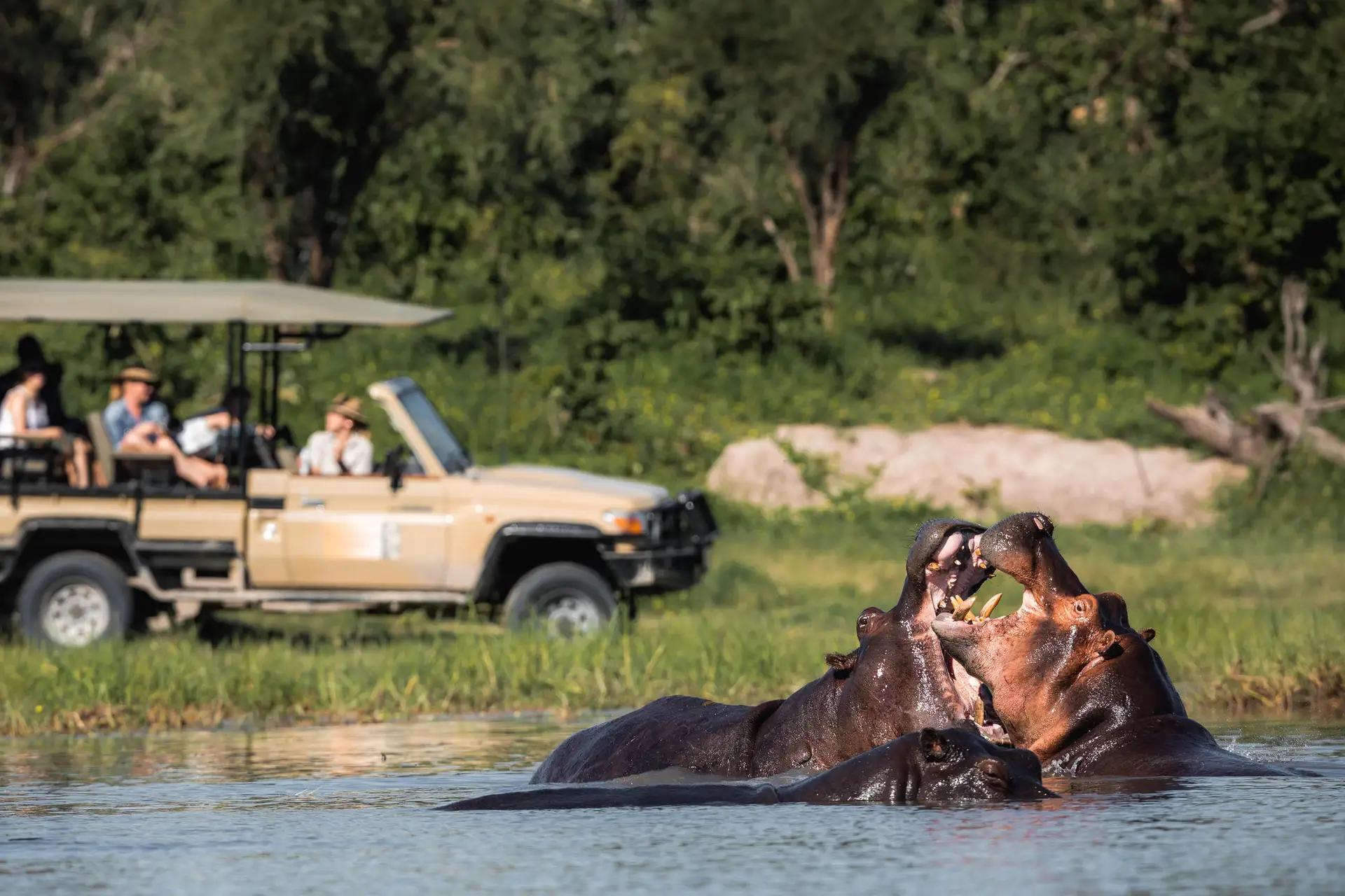 Mogotlho Safari Lodge 