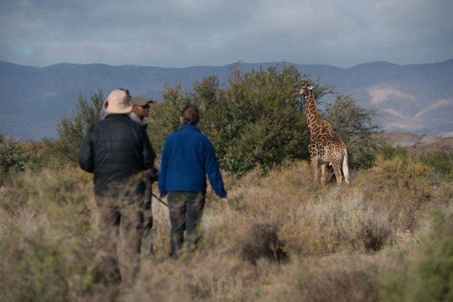 7-Day Big 5 Sanbona Safari & LUX* Mauritius Beach Escape