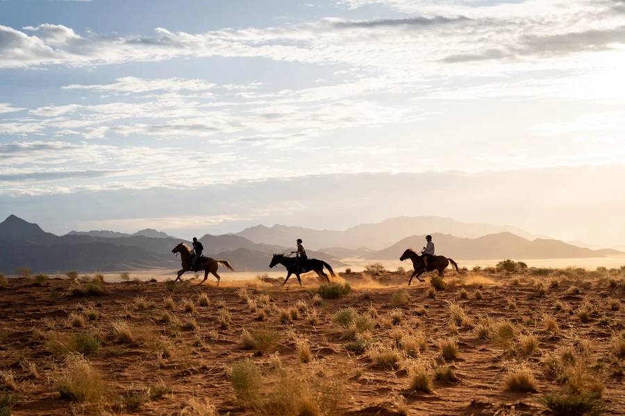 Horseback safaris