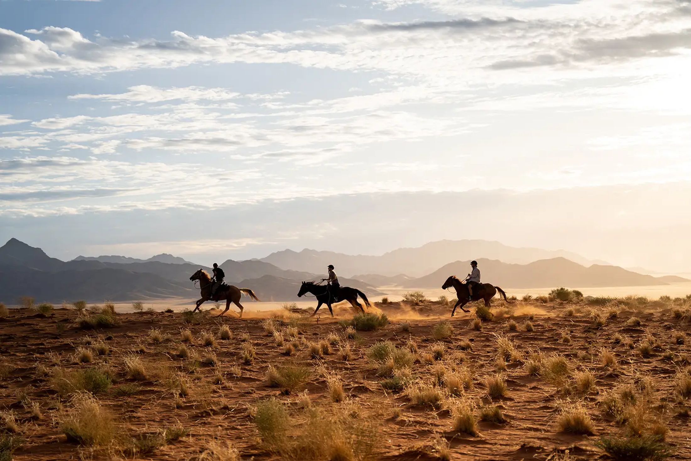 Horseback safaris