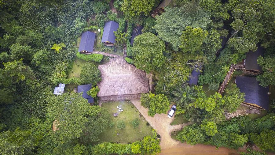 6-Day Uganda Primate Safari Adventure