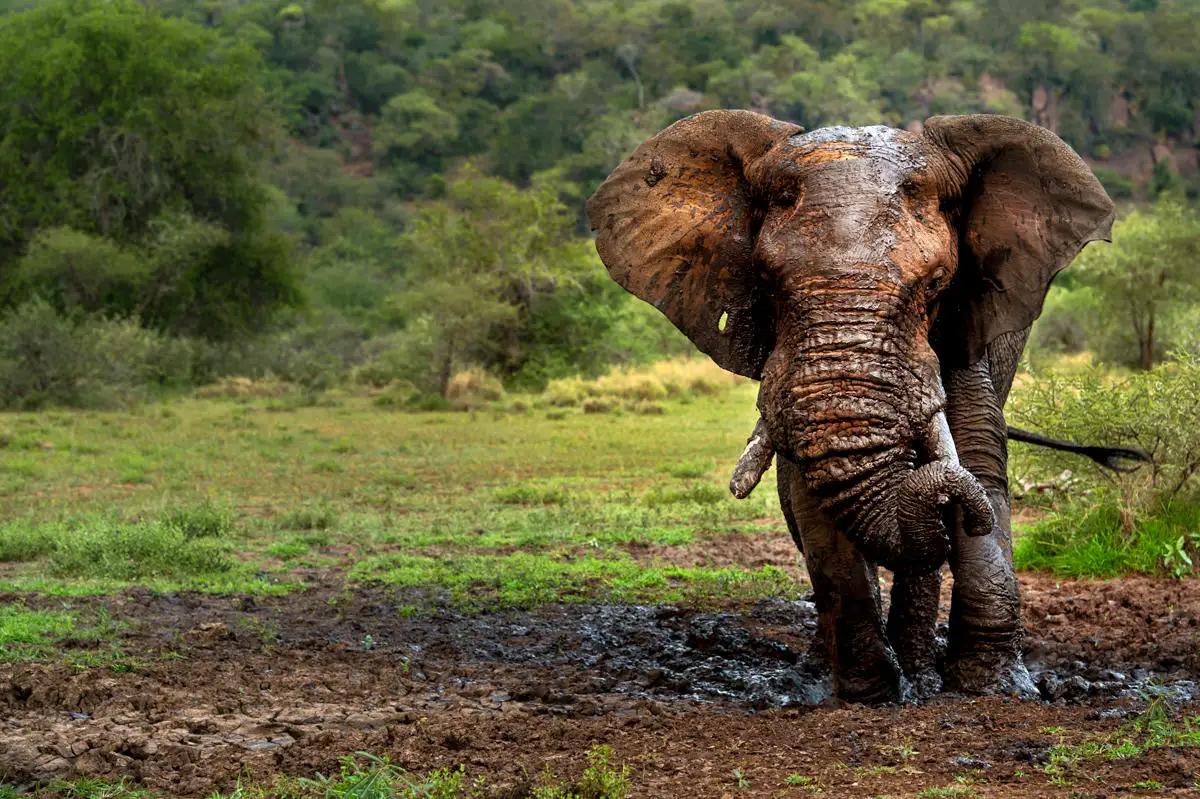 Singita Explore Mobile Tented Camp