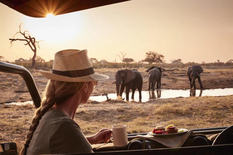 15-Day Safari Adventure: Botswana, Victoria Falls & Zanzibar