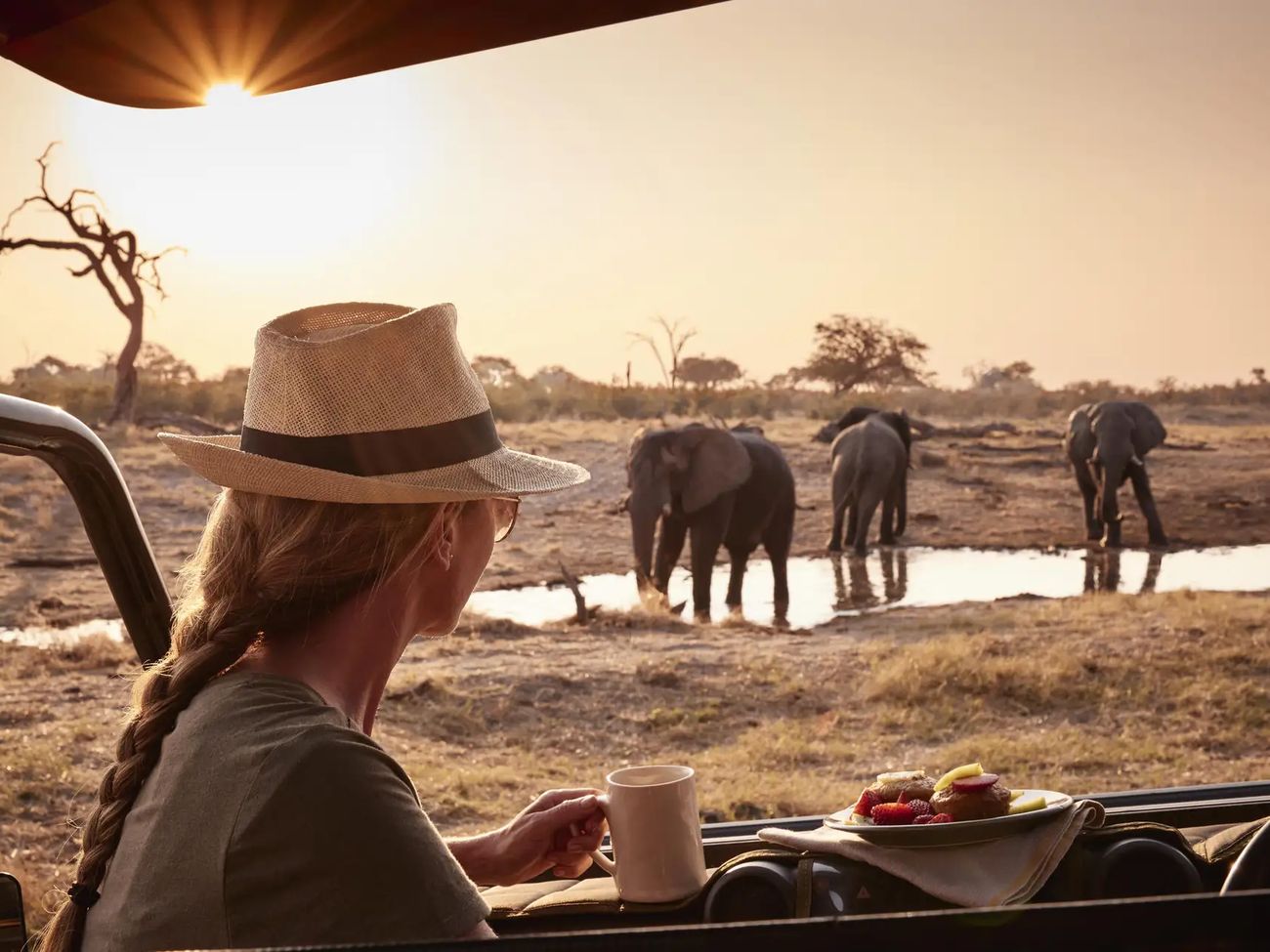 15-Day Safari Adventure: Botswana, Victoria Falls & Zanzibar