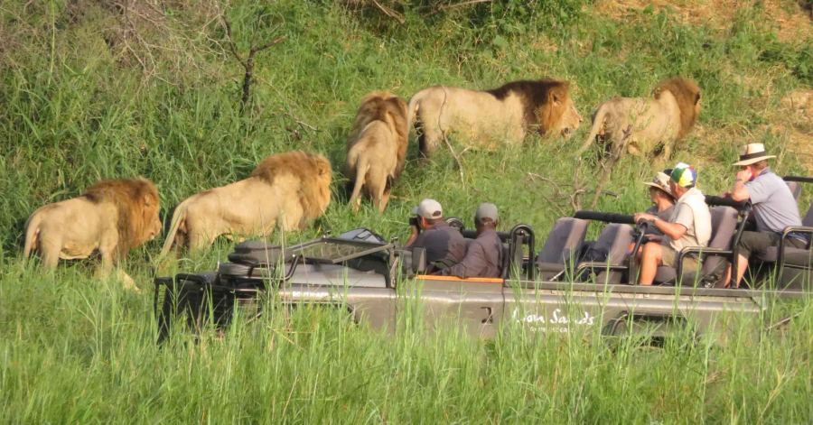 11 Day Luxury Kruger, Victoria Falls & Cape Town