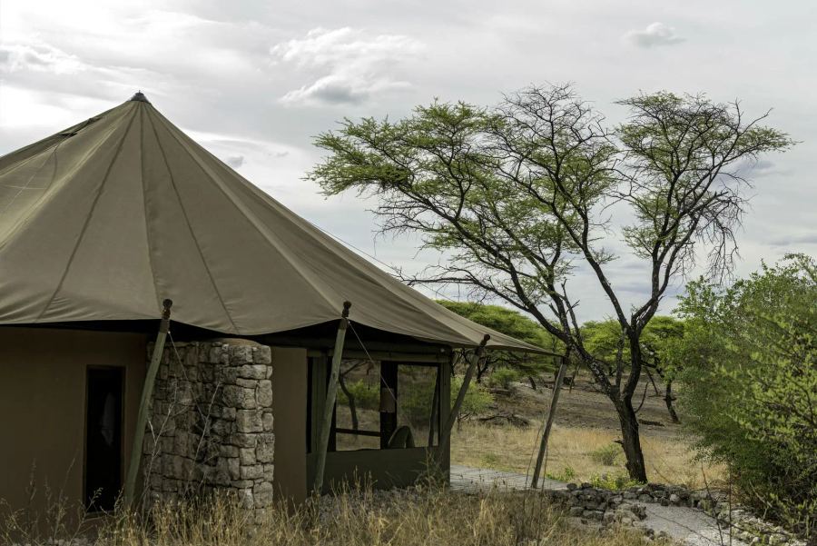 4-Day Onguma Tented Camp Fly-in