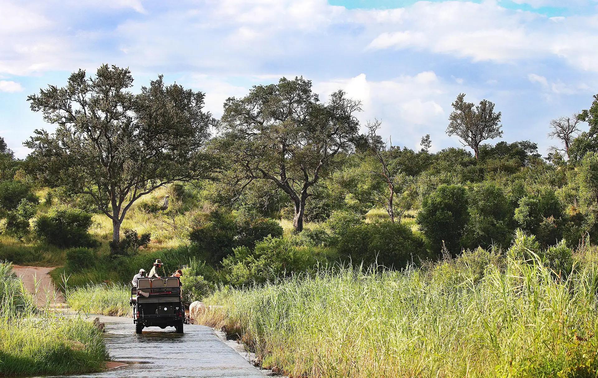 4-Day Fly-In Londolozi Tree Camp Safari