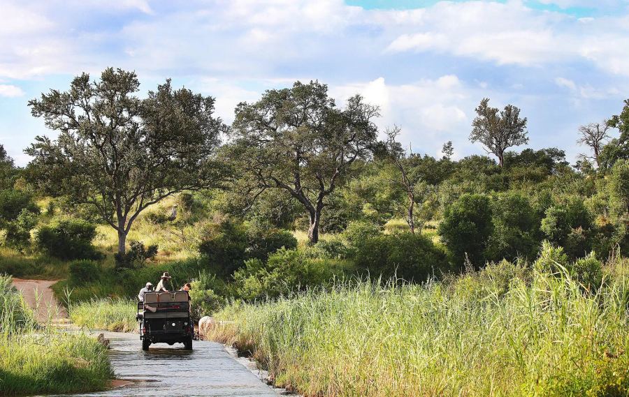 4-Day Fly-In Londolozi Tree Camp Safari