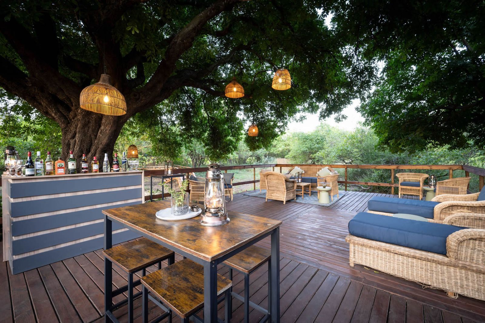 Kruger Untamed Satara Plains