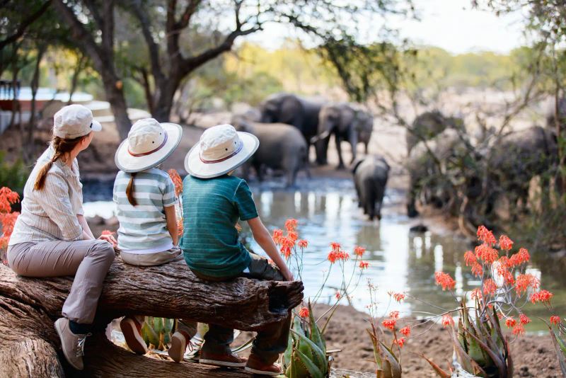 Family Safaris