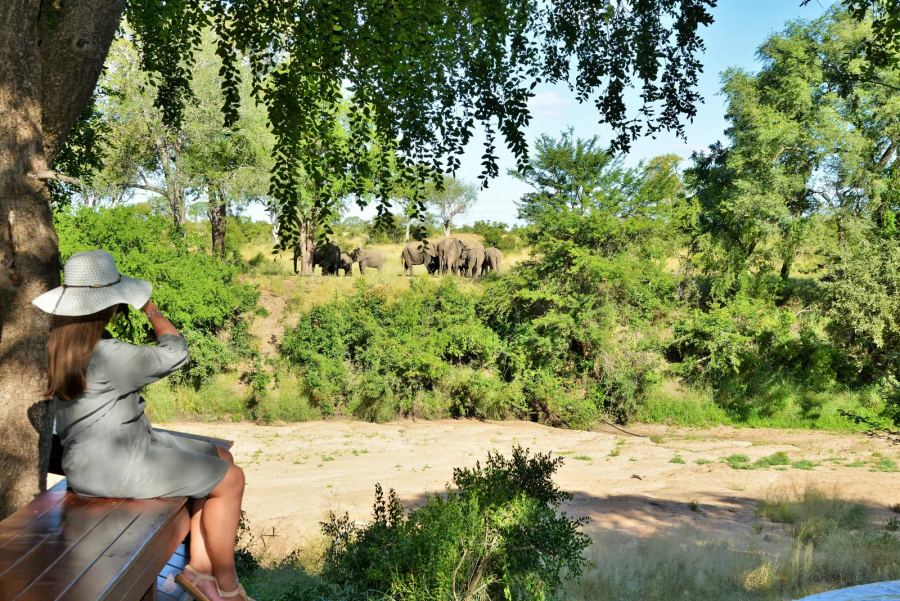 4 Day All Inclusive Fly-in Tour to Kruger's Imbali Lodge