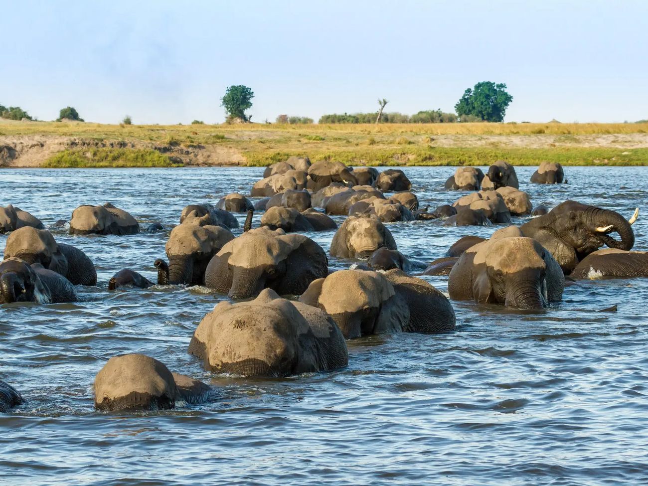 7 Day Chobe & Delta Fly-in Tour