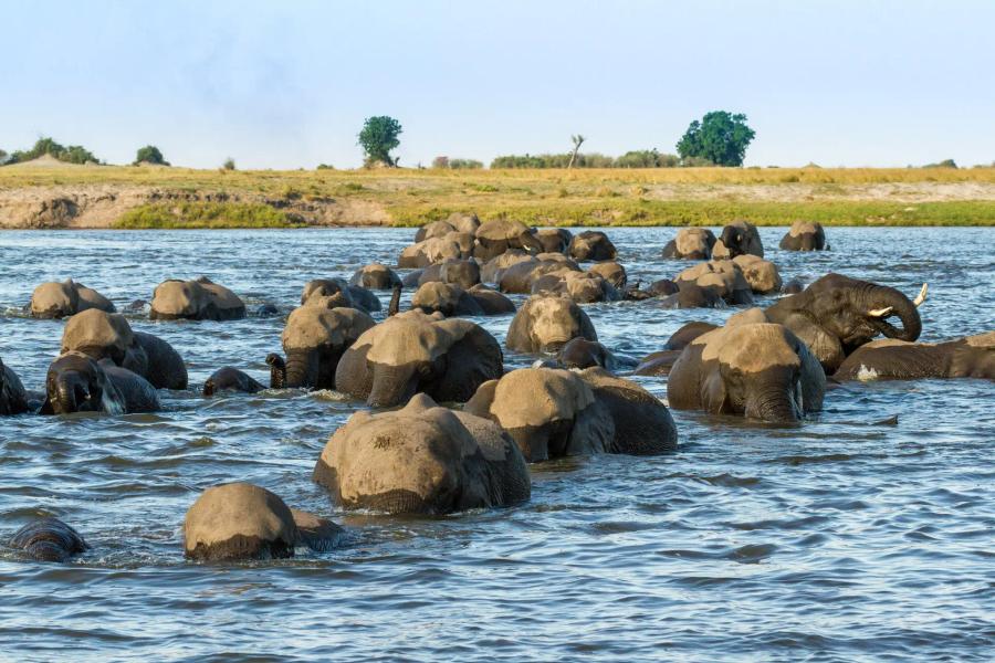 7 Day Chobe & Delta Fly-in Tour