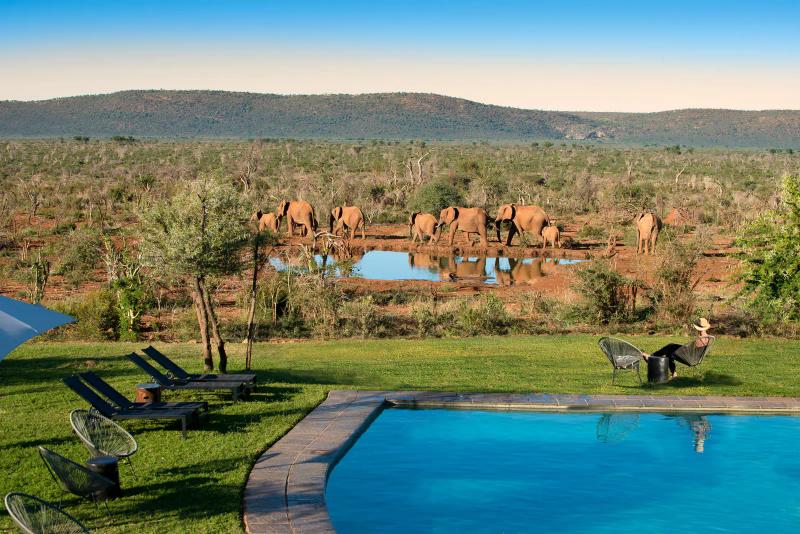 7 Day Madikwe & Cape Town