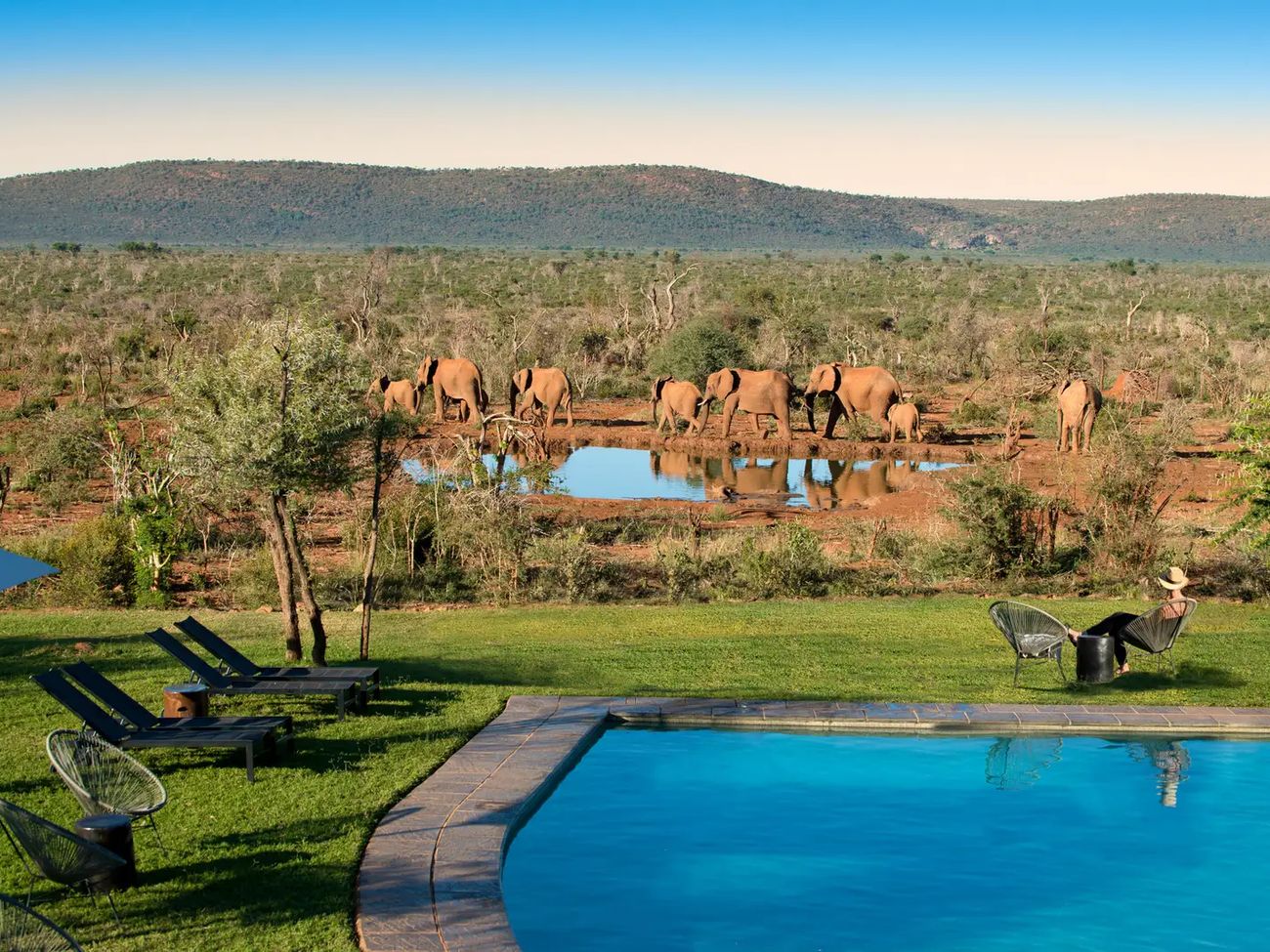 7 Day Madikwe & Cape Town