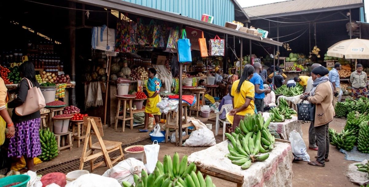 5 Reasons Why Rwanda Leads the World in Gorilla Trekking | Safari.com Blog