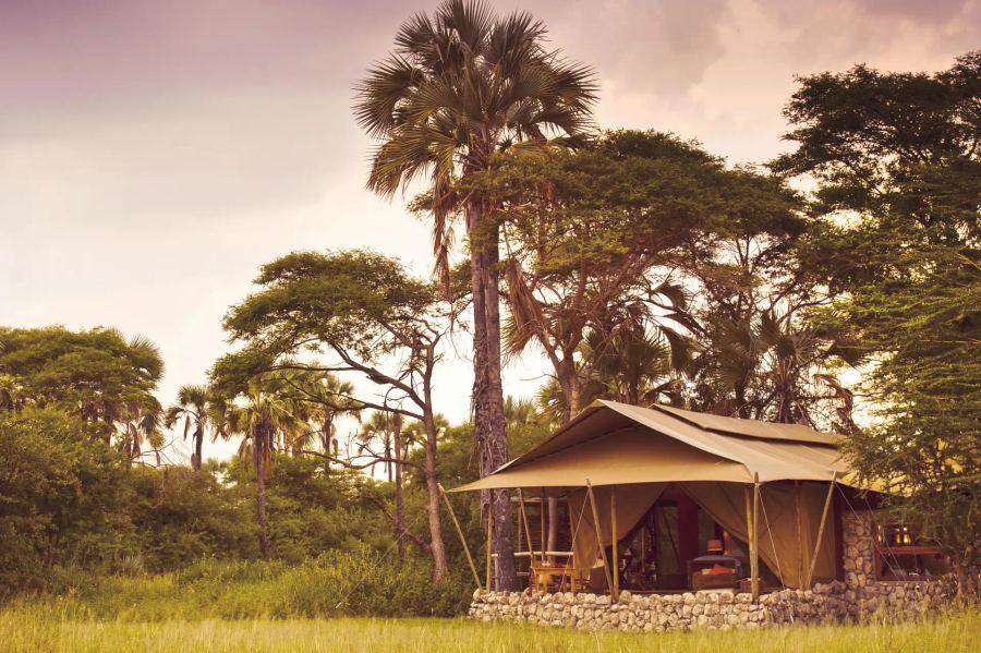 5-Day Ultra-Lux Fly-In Lake Manyara Safari