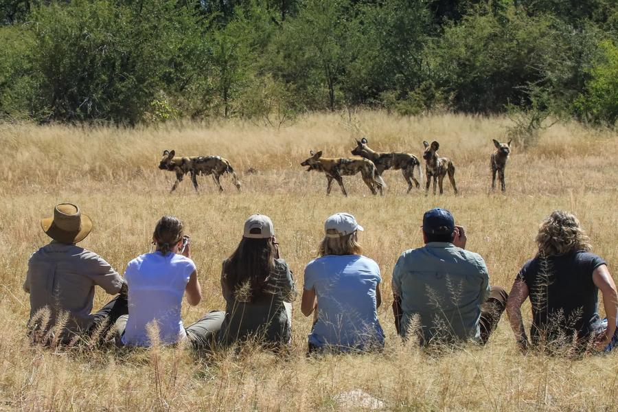 10-Day Exploring Victoria Falls, Hwange & Chobe National Park Safari